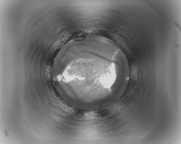 X0000102020470200808151320
