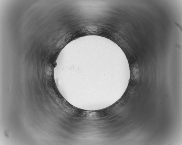 X0000102020472200808151320