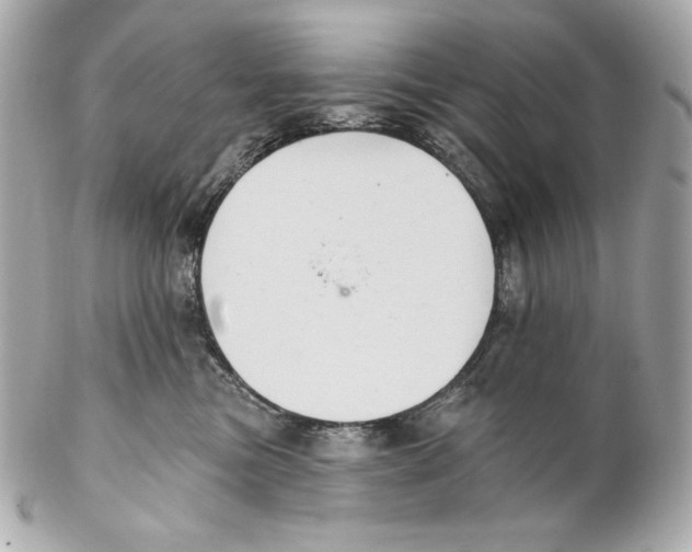 X0000102020473200808151320