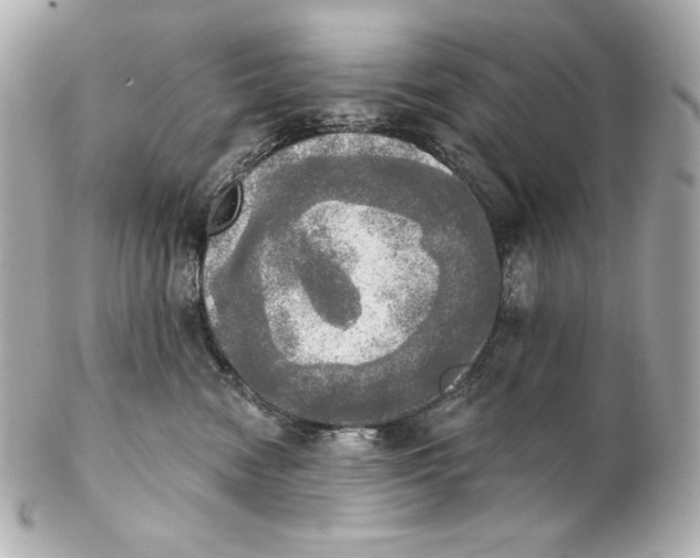 X0000102020474200808151320