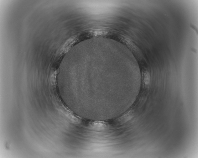 X0000102020475200808151320