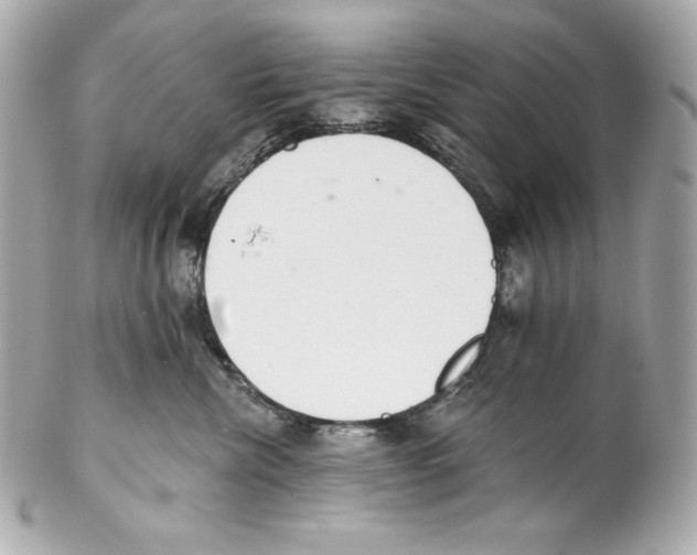 X0000102020476200808151320