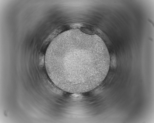 X0000102020477200808151320