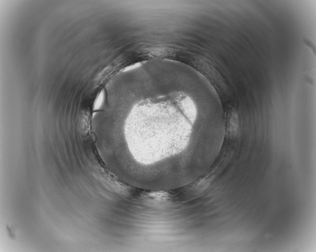 X0000102020478200808151320