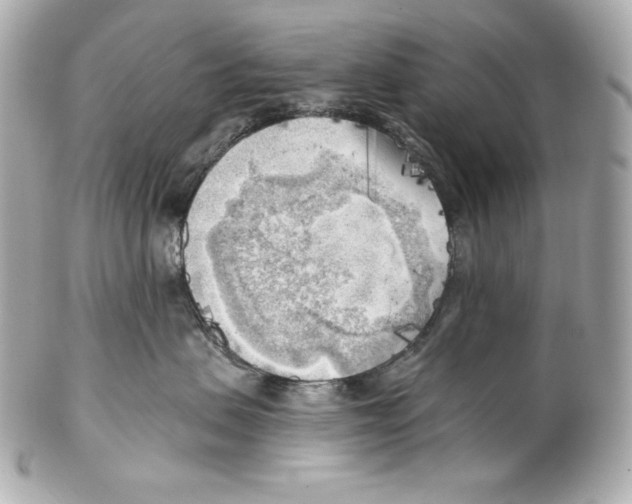 X0000102020479200808151320