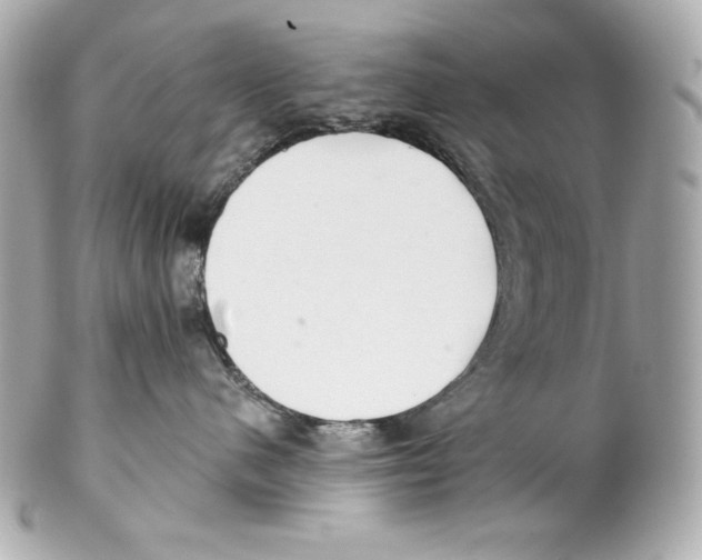 X0000102020480200808151320