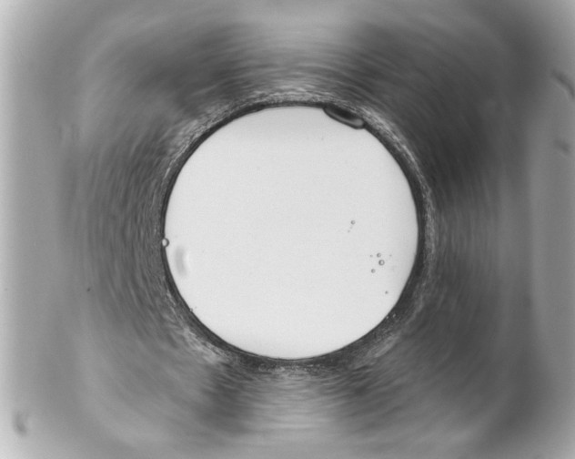 X0000102020481200808151319