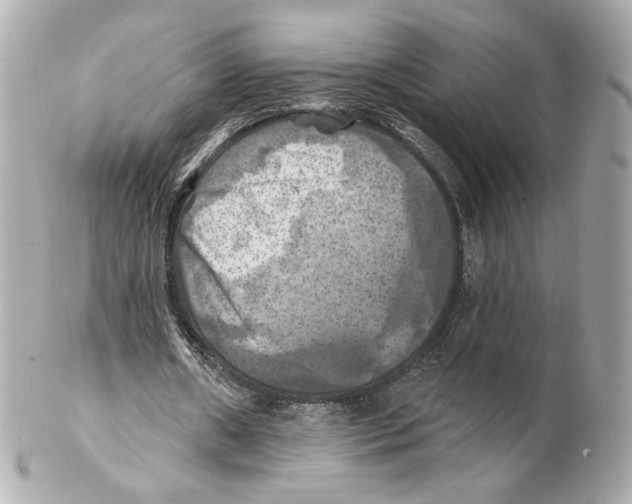 X0000102020482200808151319
