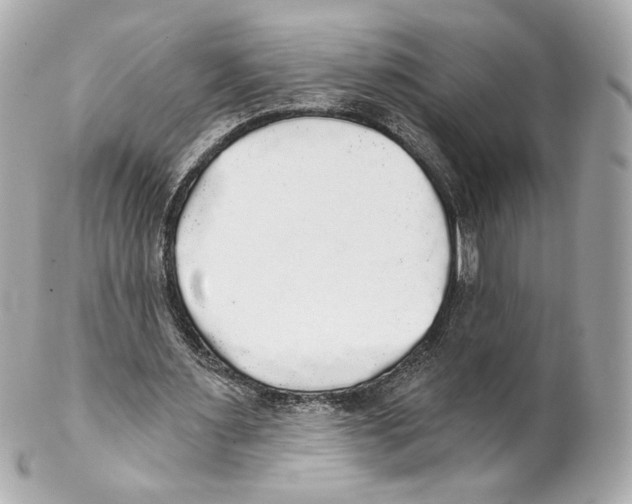 X0000102020483200808151319