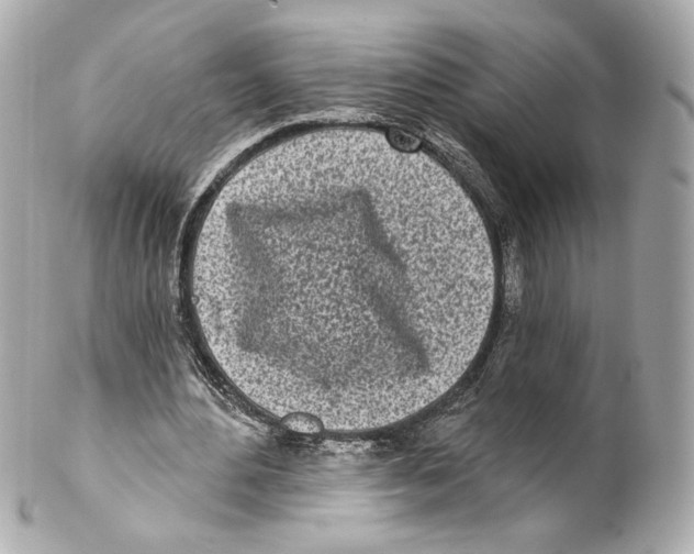 X0000102020484200808151319