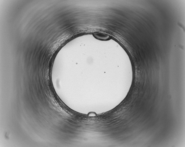 X0000102020485200808151319