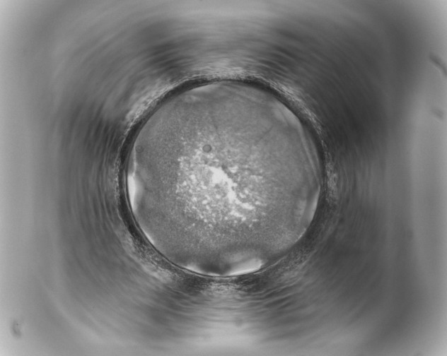 X0000102020487200808151319