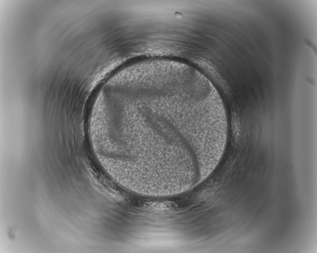 X0000102020488200808151319