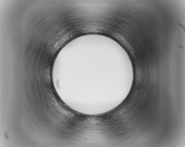 X0000102020489200808151319