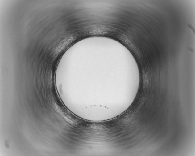 X0000102020490200808151319
