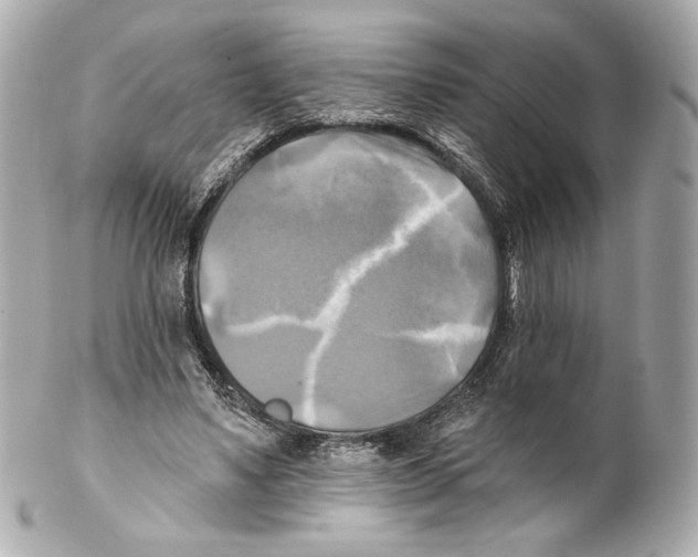 X0000102020491200808151319