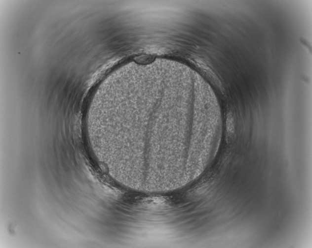 X0000102020492200808151319