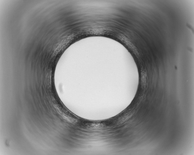 X0000102020493200808151319