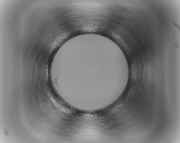 X0000102020494200808151319