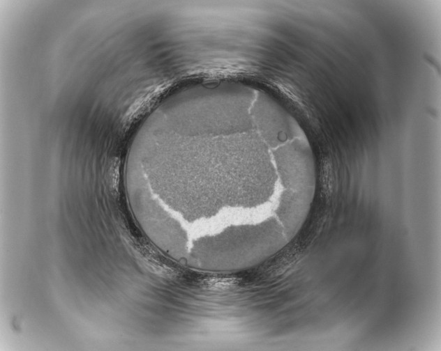 X0000102020495200808151319