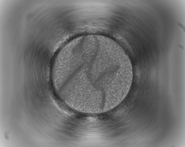 X0000102020496200808151319