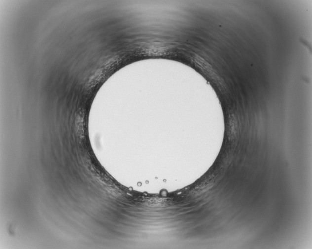 X0000102020497200808151319