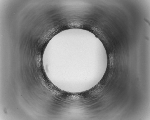 X0000102020498200808151319