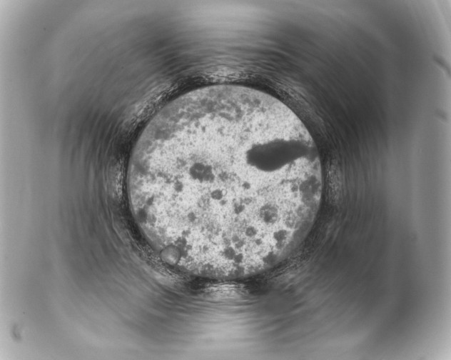 X0000102020499200808151319