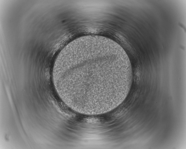 X0000102020500200808151319