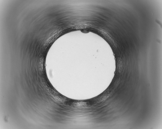 X0000102020501200808151319