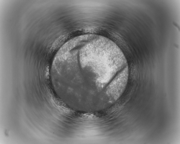 X0000102020502200808151319