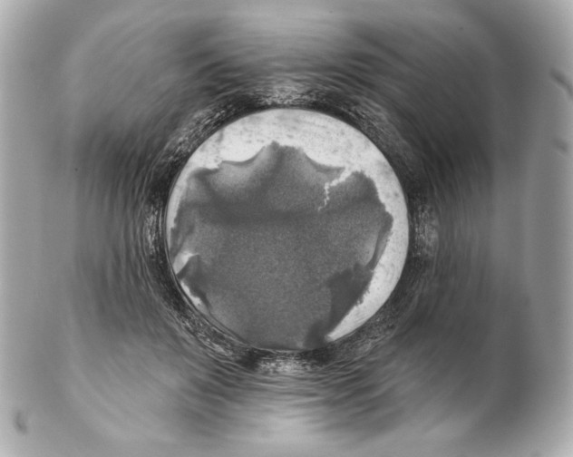 X0000102020503200808151319