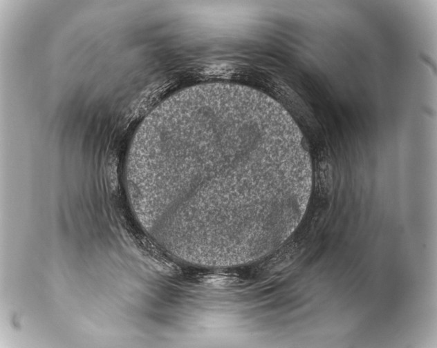 X0000102020504200808151319
