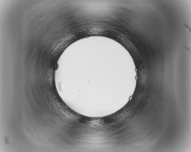 X0000102020505200808151319