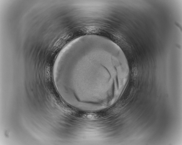 X0000102020506200808151319