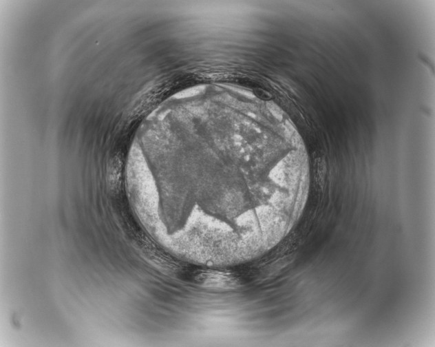 X0000102020507200808151318