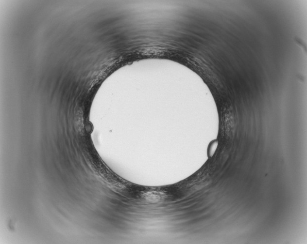 X0000102020508200808151318
