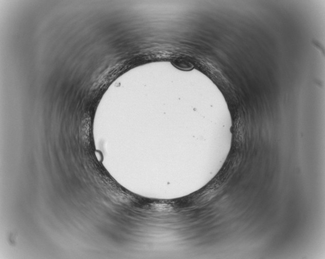 X0000102020509200808151318