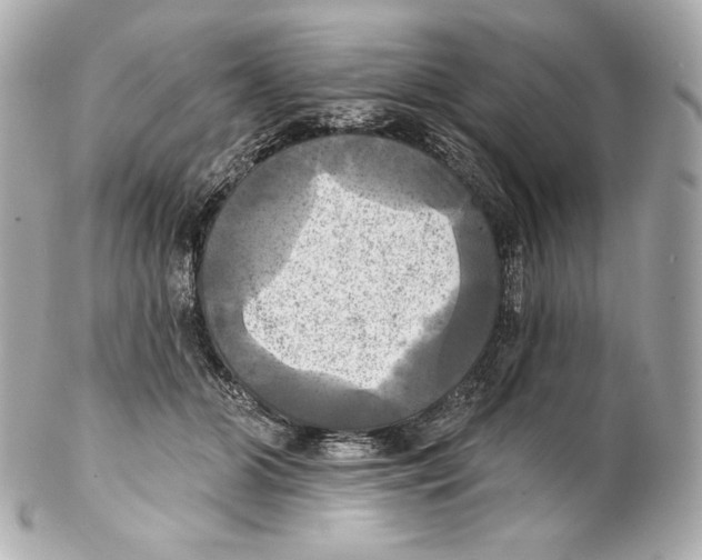 X0000102020510200808151318