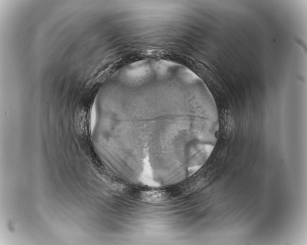 X0000102020511200808151318