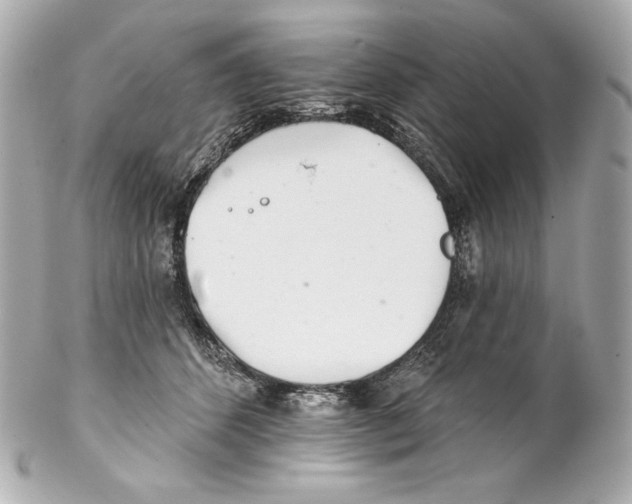 X0000102020512200808151318