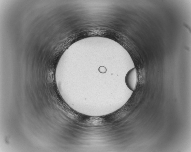 X0000102020514200808151318