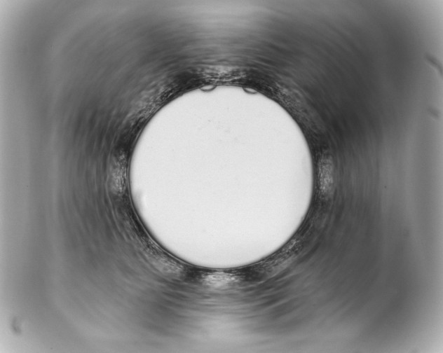 X0000102020515200808151318
