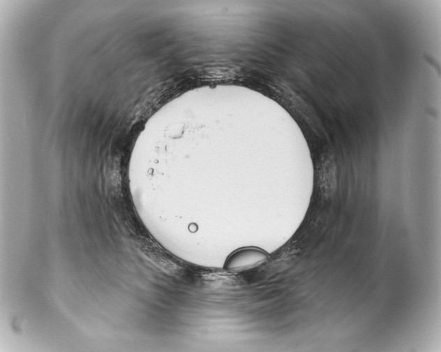 X0000102020516200808151318