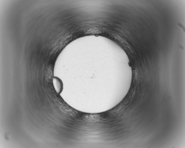 X0000102020517200808151318