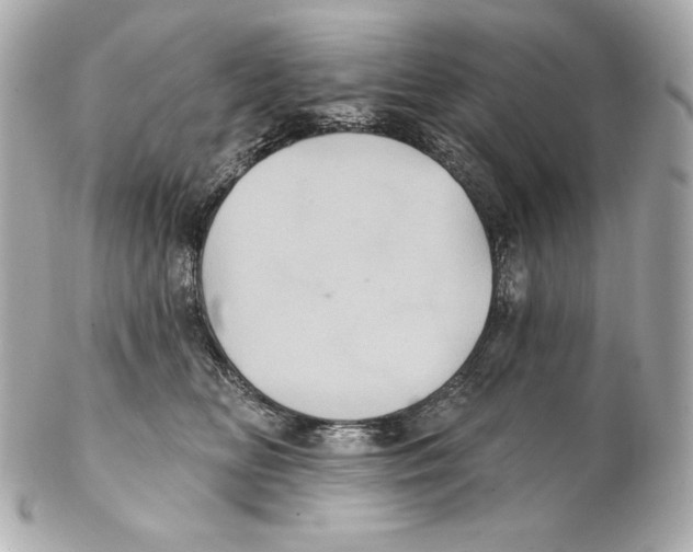 X0000102020518200808151318