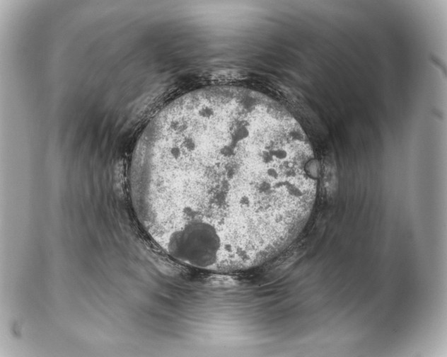 X0000102020519200808151318