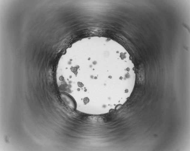 X0000102020520200808151318