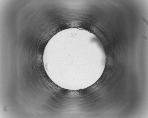 X0000102020521200808151318