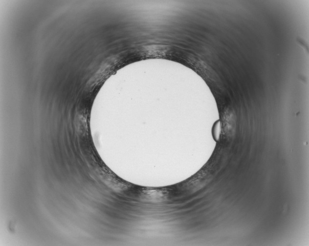 X0000102020522200808151318